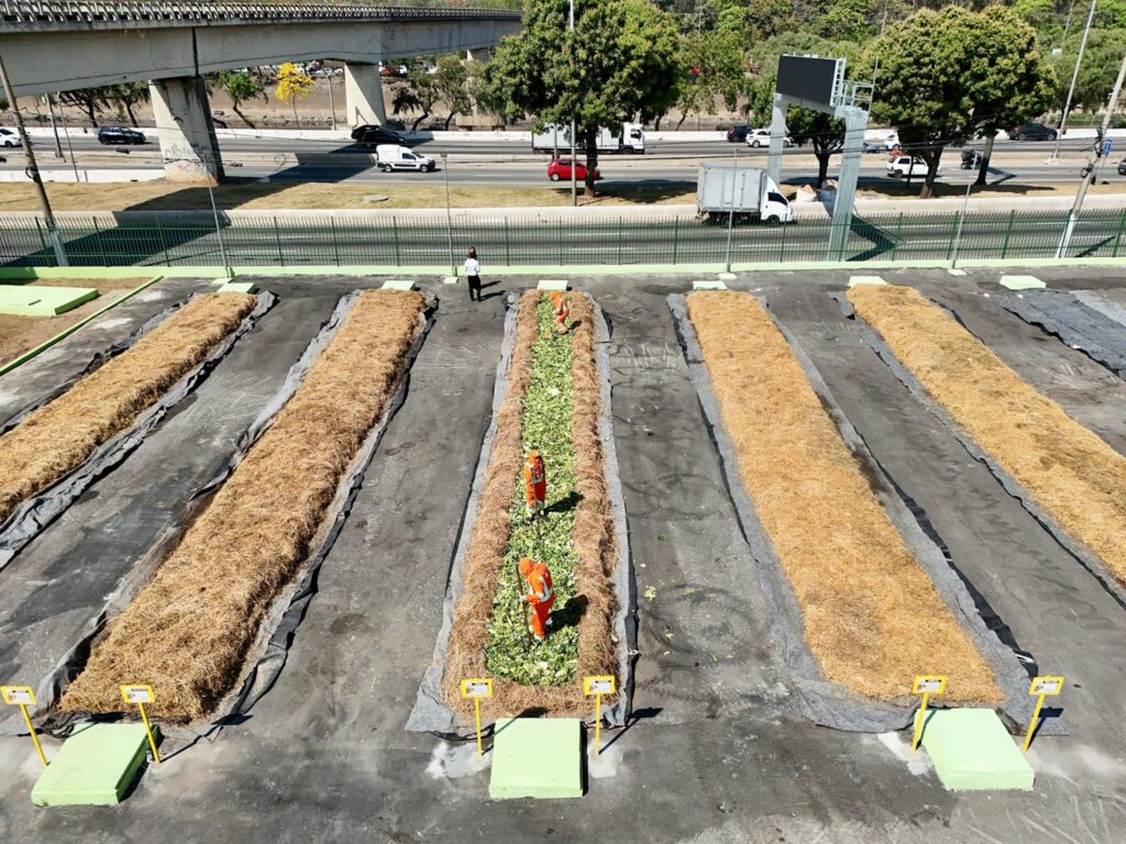 sao-paulo-ganha-mais-um-patio-que-transforma-sobras-de-feira-em-adubo