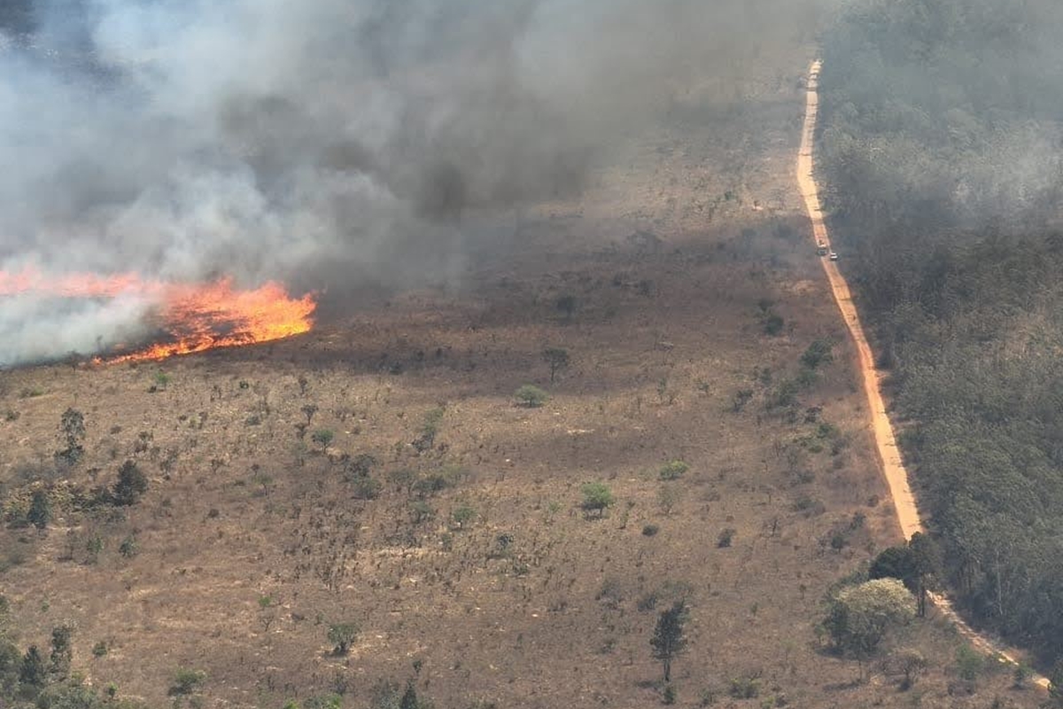 incendio-florestal-devasta-5,86%-da-floresta-nacional-de-brasilia