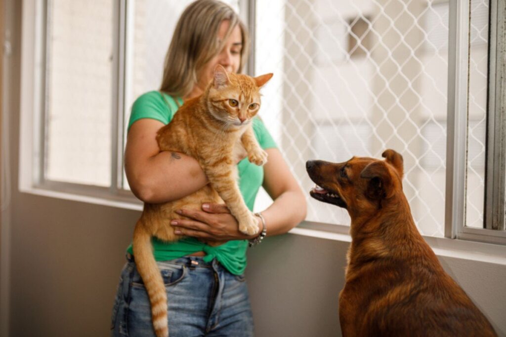 seu-cachorro-“morre”-de-ciumes-de-voce?-veja-por-que-e-como-resolver