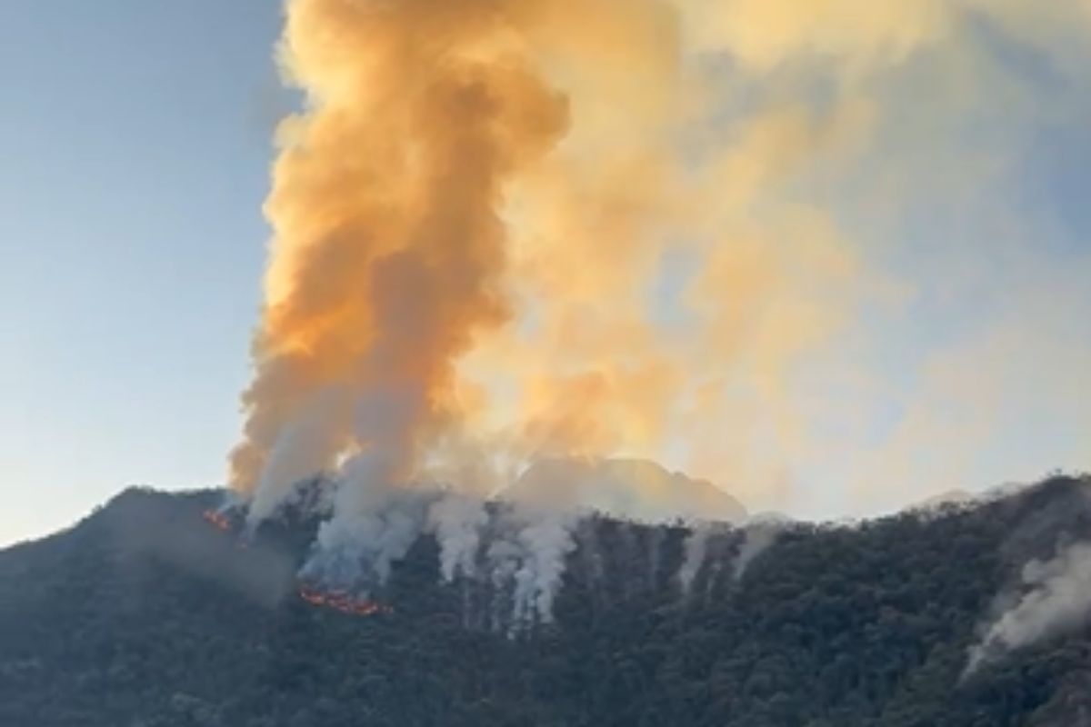 incendios-florestais-atingem-13-cidades-de-sp-neste-sabado-(13/9)