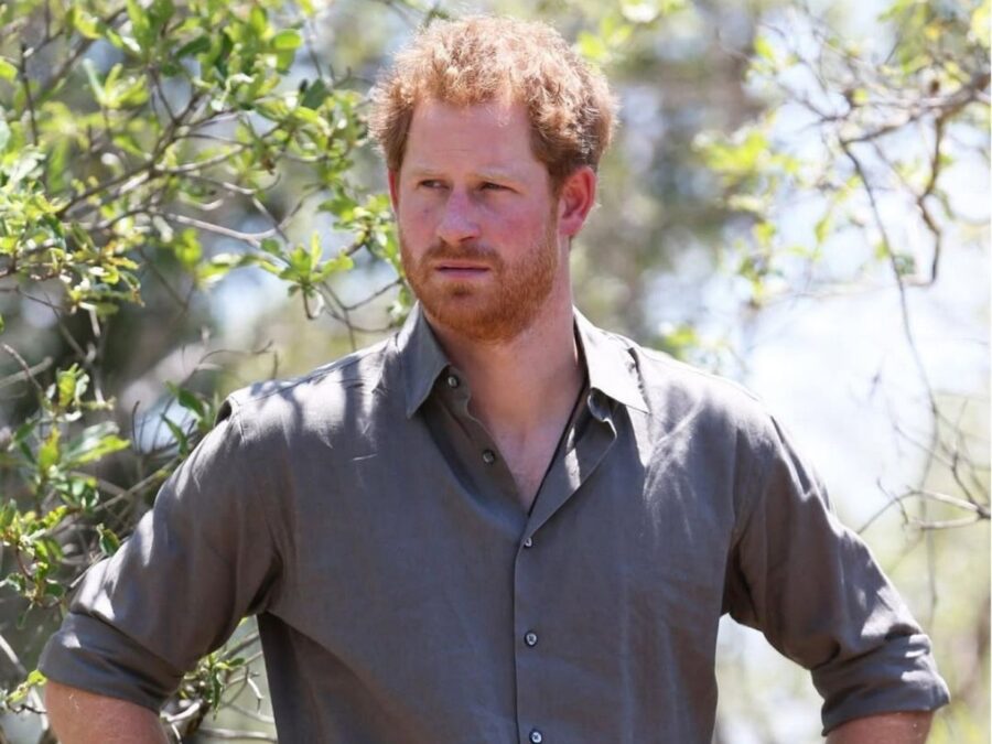 Resumão: tudo o que rolou na volta do príncipe Harry ao Reino Unido