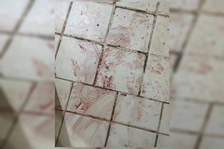 filho-espancado-pelo-pai-na-asa-norte-tentou-defender-mae-de-agressao