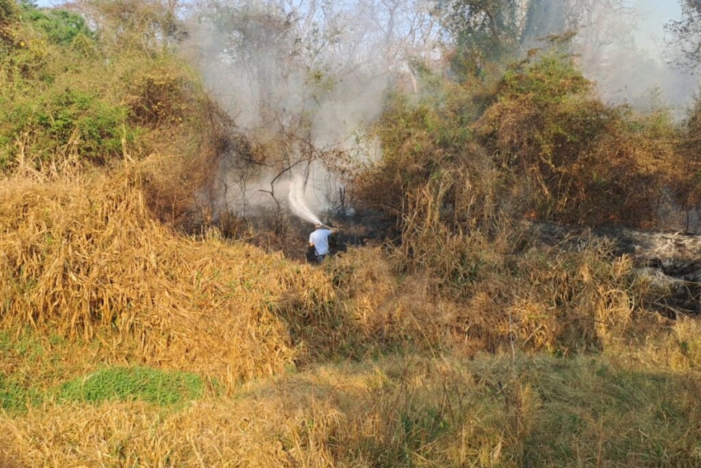 estado-de-sp-tem-7-focos-de-incendio-ativos-nesta-segunda-(15/9)