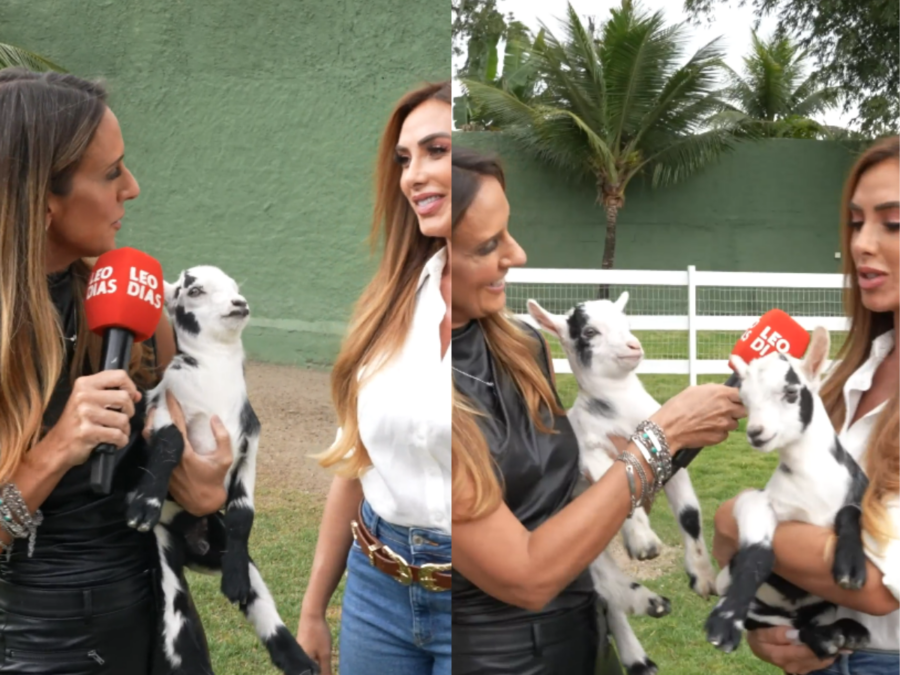 Nicole Bahls mostra animais do sítio e brinca: “Irmãos do Leo Dias e do Lucas Guimarães”