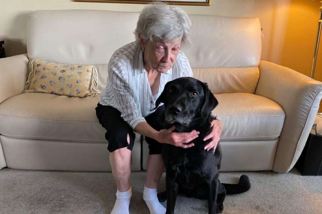 implante-de-dente-no-olho-de-pacientes-restaura-a-visao-de-cegos