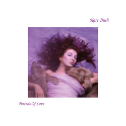 revolucao-pop-a-“stranger-things”:-“hounds-of-love”,-de-kate-bush,-completa-40-anos