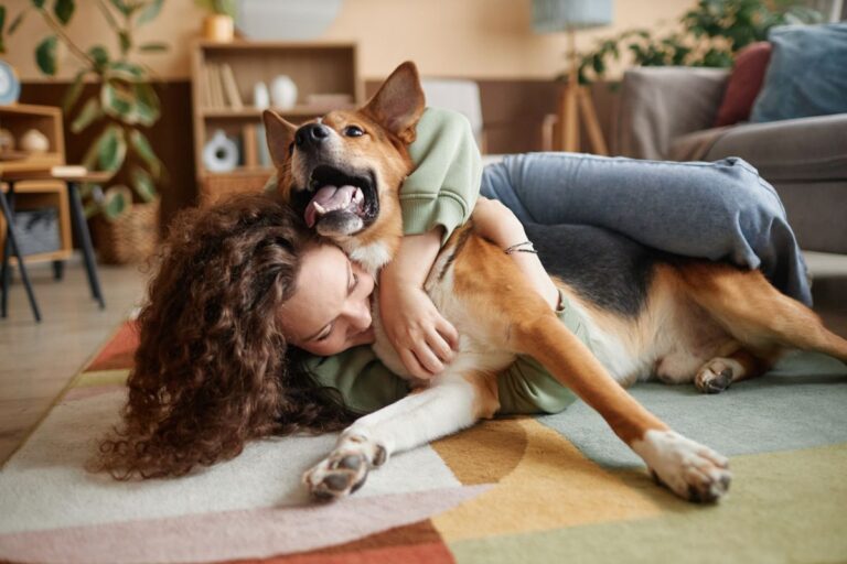 dez-sinais-de-que-seu-cachorro-te-considera-a-pessoa-preferida-dele