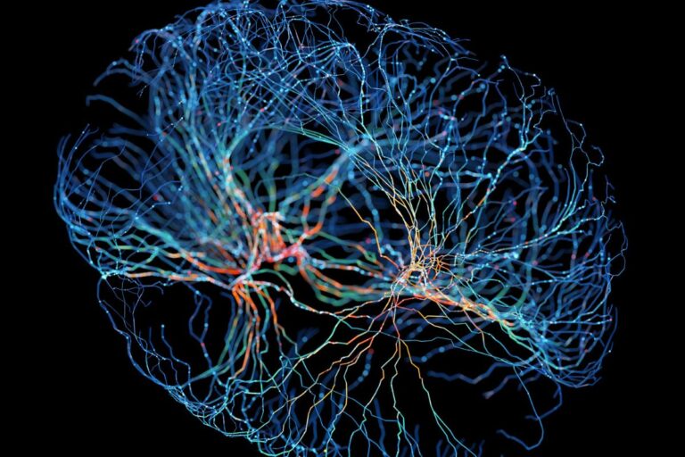 o-que-a-neurociencia-me-ensinou-sobre-marcas-que-criam-valor