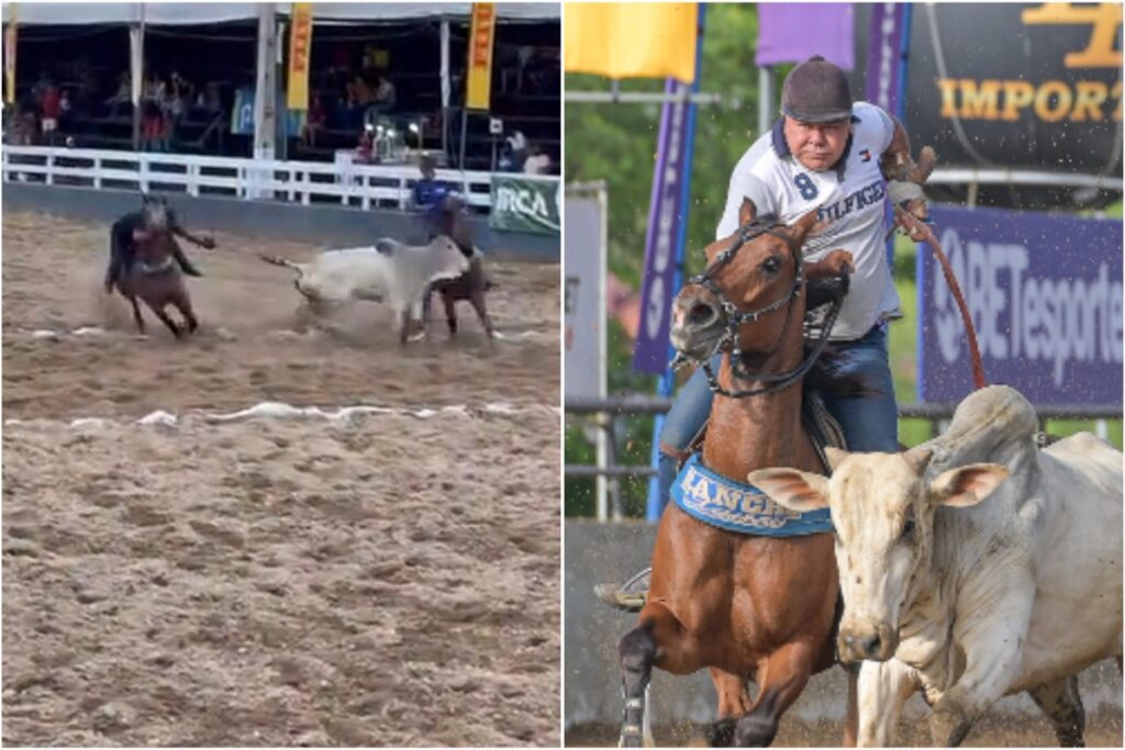 video:-vaqueiro-morre-ao-cair-e-bater-cabeca-em-muro-durante-vaquejada