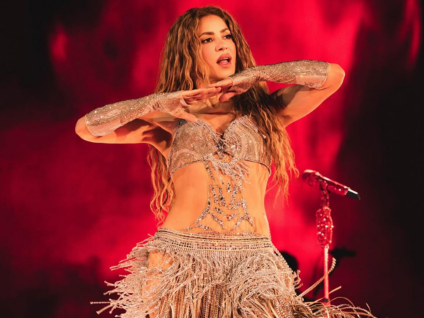 lady-gaga,-taylor-swift,-beyonce:-as-divas-pop-que-mais-inspiraram-nomes-de-pets