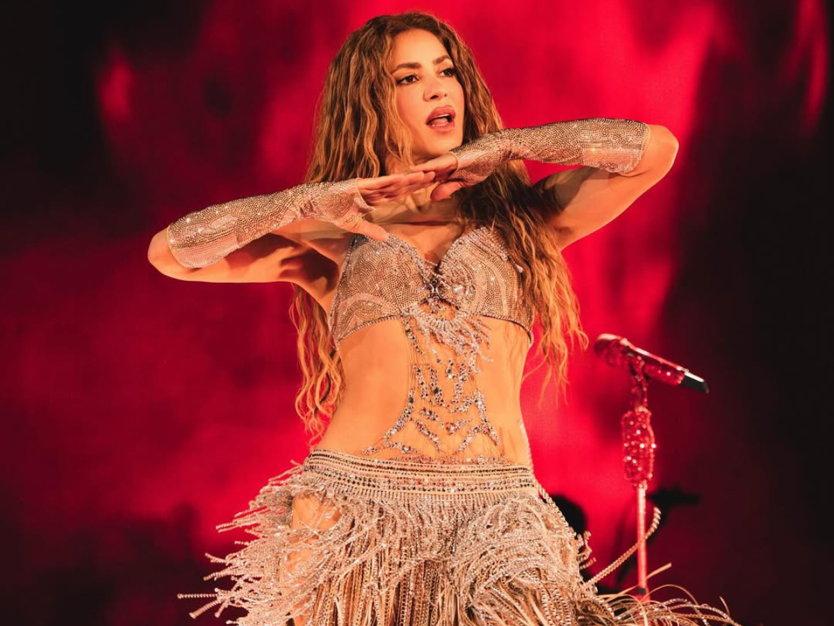 Lady Gaga, Taylor Swift, Beyoncé: as divas pop que mais inspiraram nomes de pets