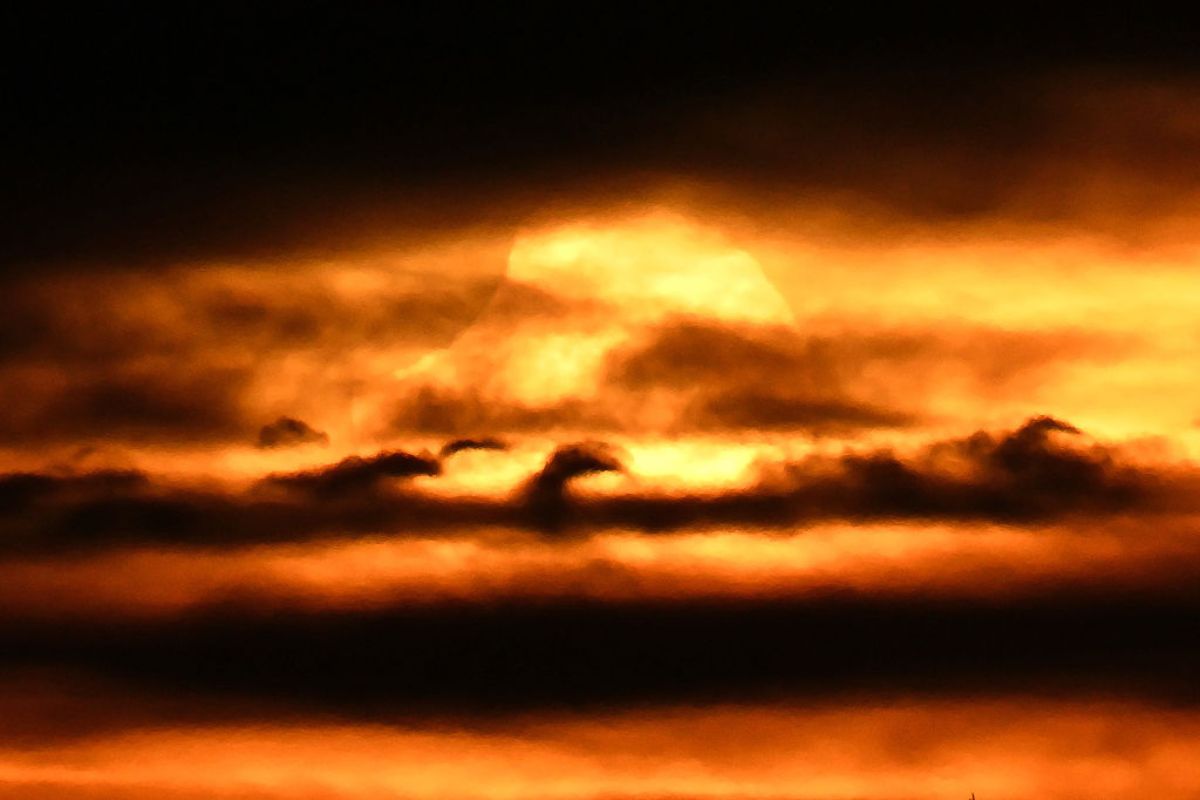 eclipse-parcial-encanta-nascer-do-sol-na-nova-zelandia.-veja-imagens