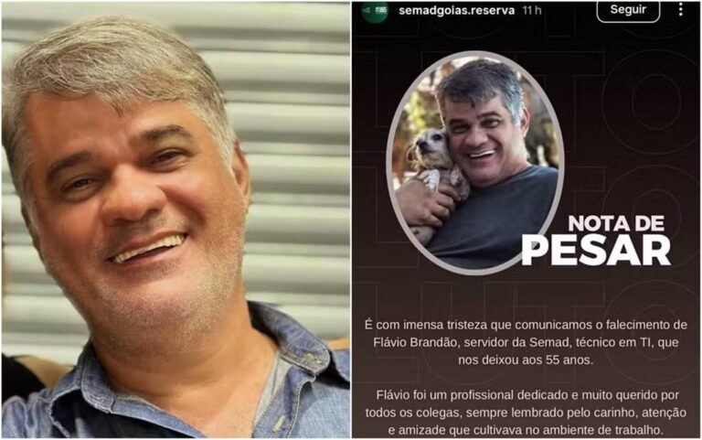 homem-morre-atacado-por-abelhas-ao-proteger-esposa-em-praca-de-goiania