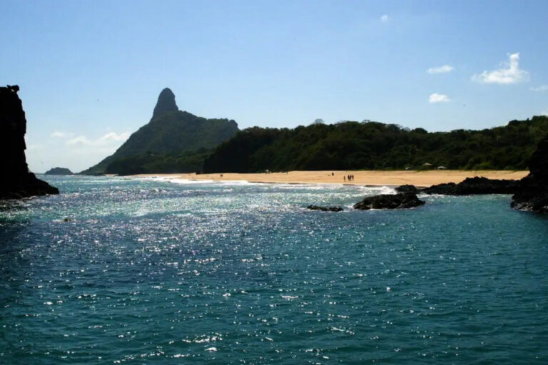 golpe-de-agencia-afetou-mae-em-resguardo:-“ate-o-leite-parou-de-sair”