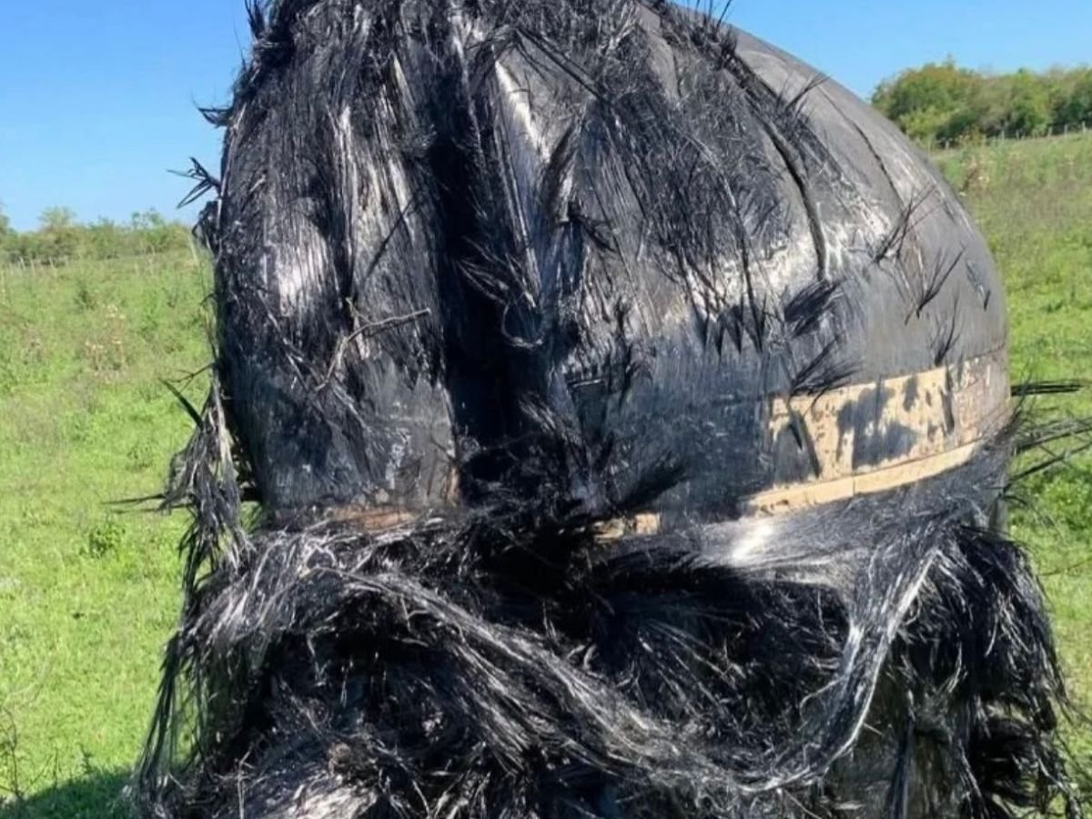Objeto misterioso cai do céu na Argentina e assusta moradores; saiba o que é