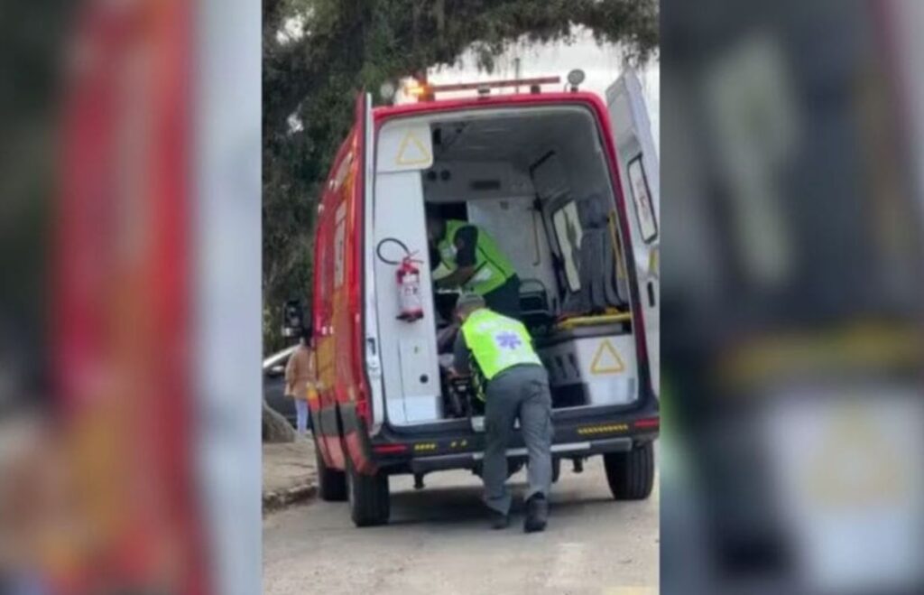cachorro-invade-escola-e-morde-duas-alunas-em-santa-catarina