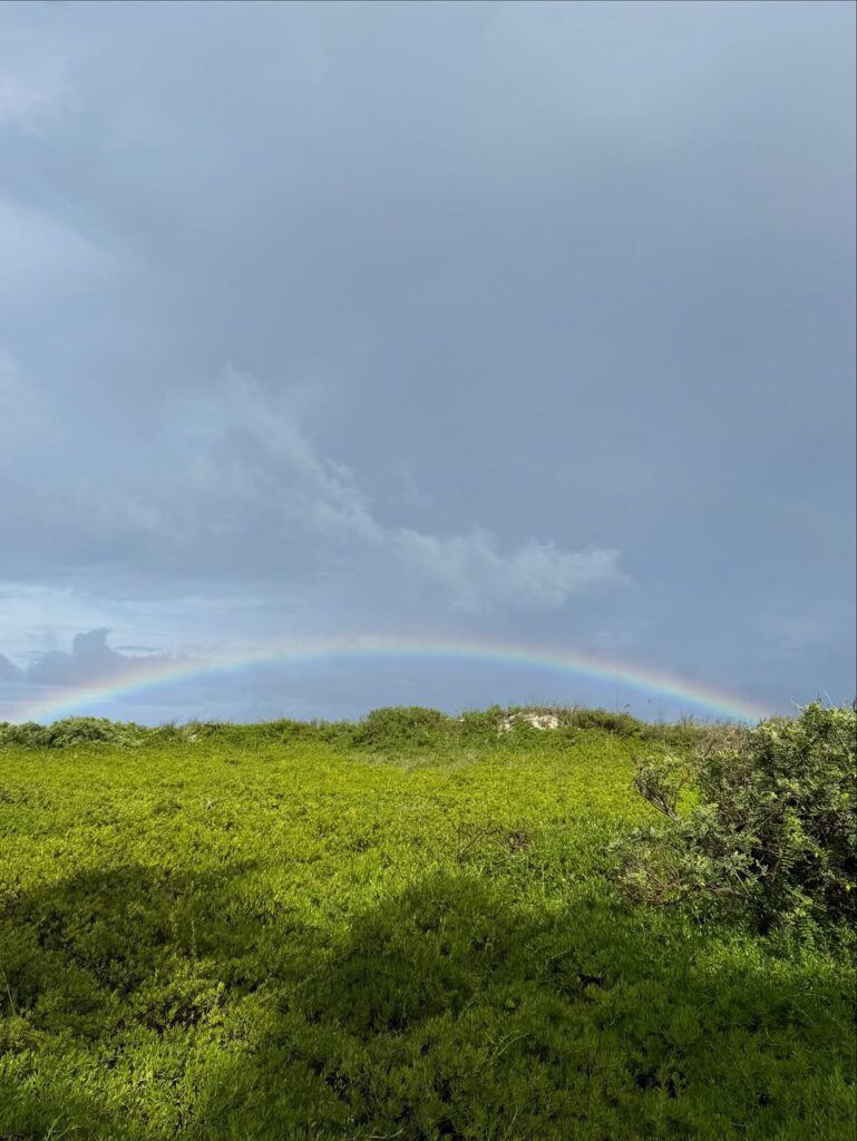 gisele-bundchen-retorna-as-redes-sociais-com-album-de-fotos-da-natureza:-“meu-remedio”