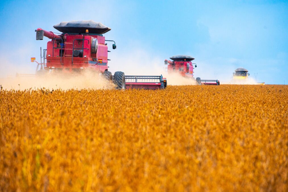 Agro: recuperações judiciais disparam e batem recorde no 2º trimestre