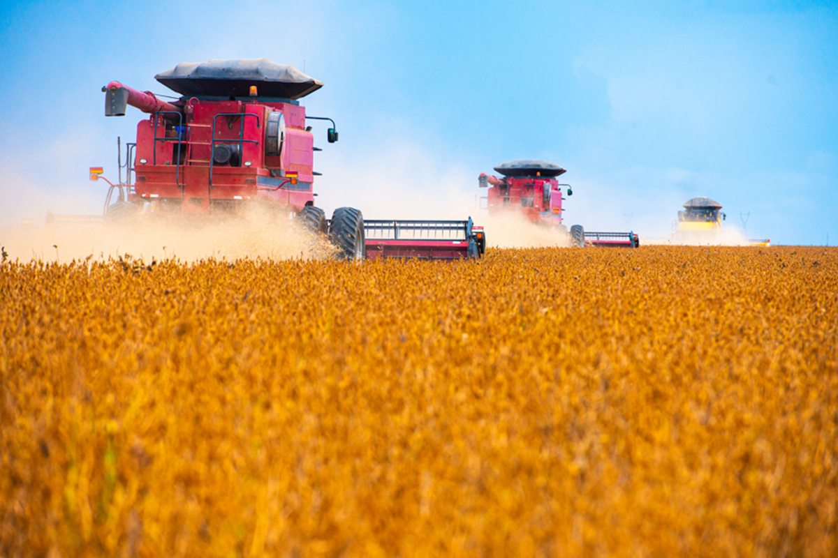 Agro: recuperações judiciais disparam e batem recorde no 2º trimestre