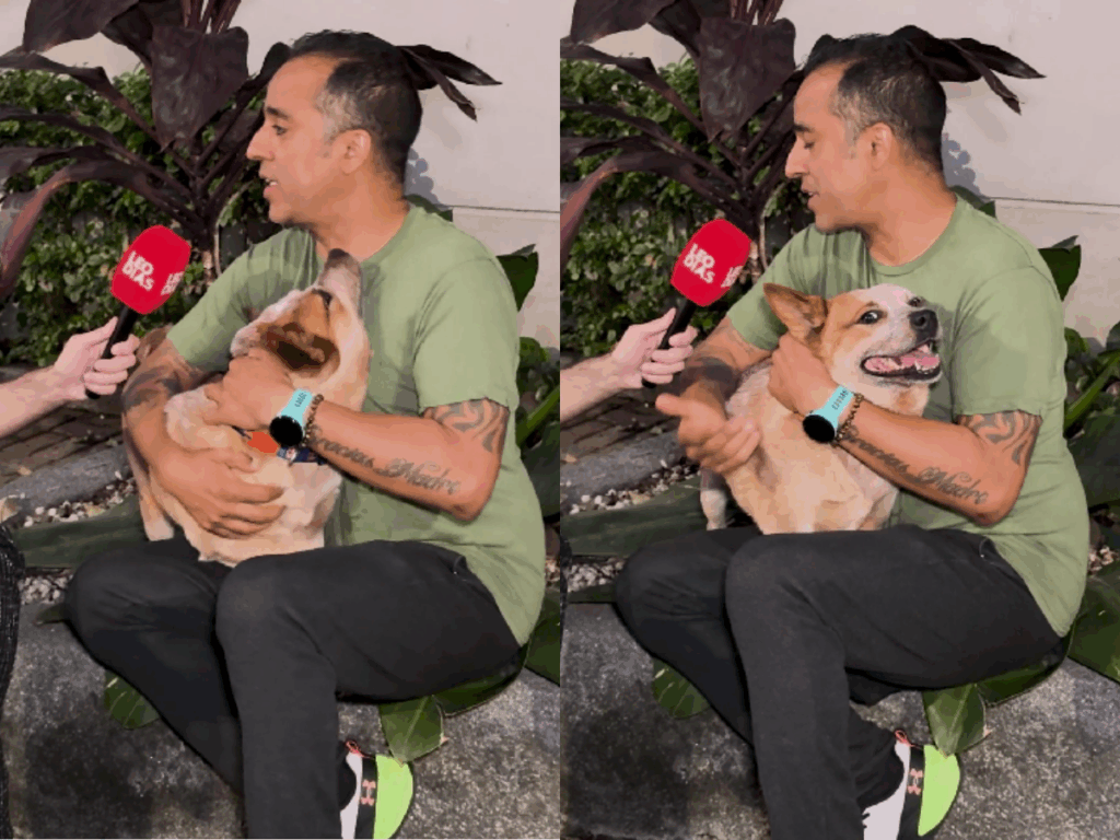 cao-de-alerta-medico:-adestrador-explica-acao-de-pets-no-controle-de-diabetes