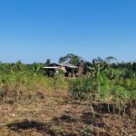 4f552458-de2b-4f1a-9699-f98e380aee62