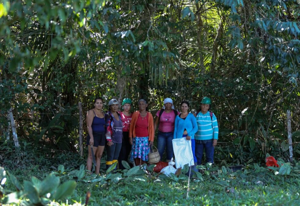 Do murumuru ao mundo: mulheres do Acre fortalecem a bioeconomia com saber ancestral e cuidado da floresta
