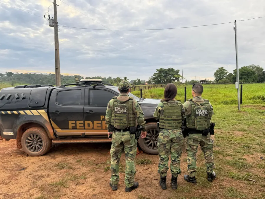 Polícia Federal combate grilagem e desmatamento em assentamento sustentável no Acre
