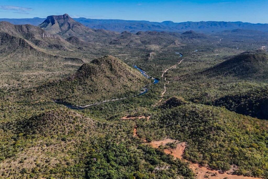 mapbiomas:-cerrado-perdeu-40-milhoes-de-hectares-nos-ultimos-40-anos