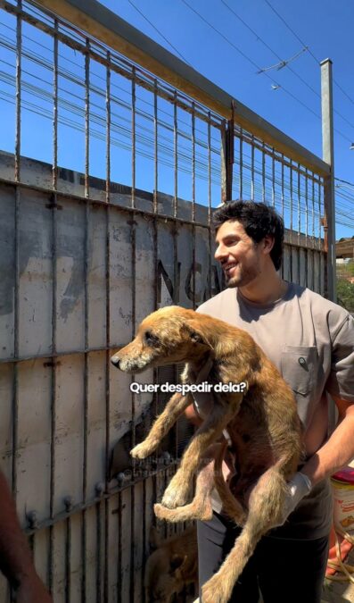 Julinho Casares resgata mãe e filhote debilitados e reforça união pela causa animal