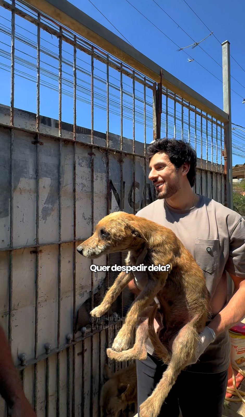Julinho Casares resgata mãe e filhote debilitados e reforça união pela causa animal
