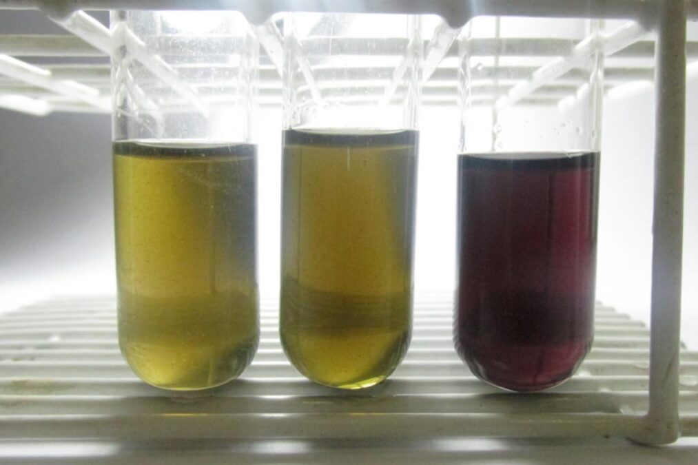 Técnica desenvolvida pela Unesp detecta metanol em bebidas com rapidez