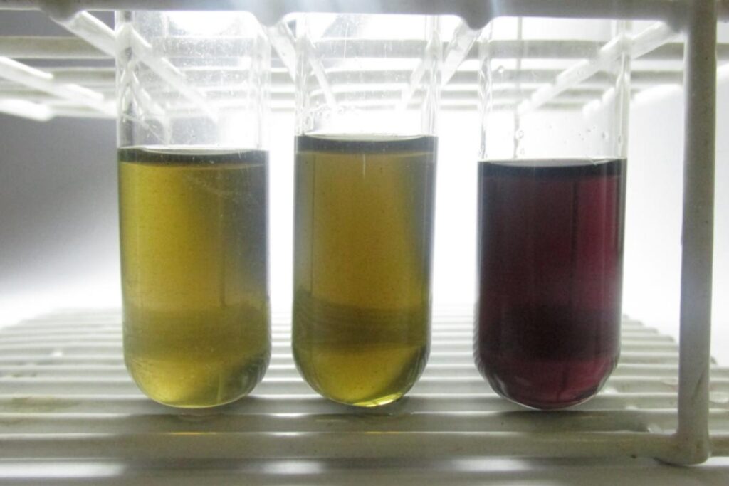 tecnica-desenvolvida-pela-unesp-detecta-metanol-em-bebidas-com-rapidez