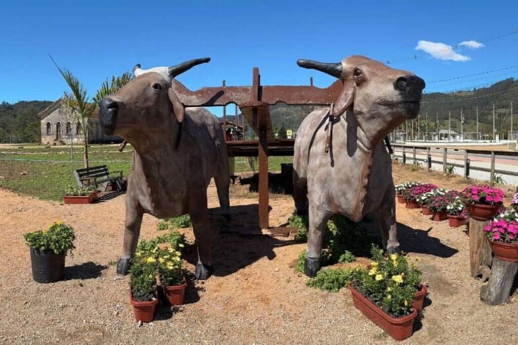 sc:-cidade-com-4-mil-habitantes-pode-entrar-no-guinness-book.-entenda