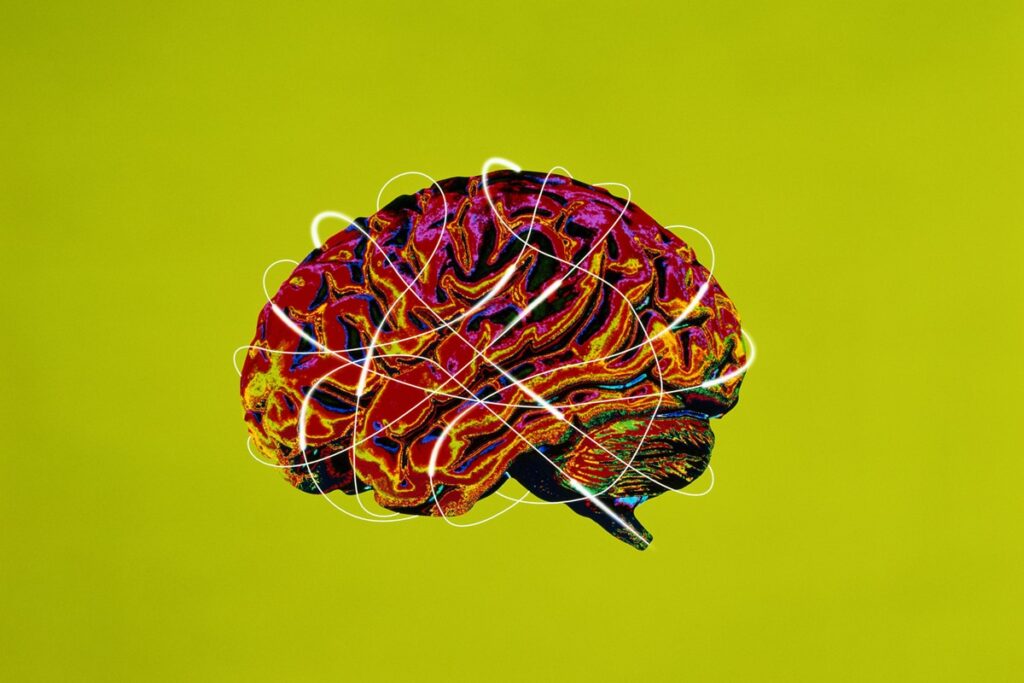 cientistas-identificam-area-do-cerebro-que-se-degrada-com-alzheimer