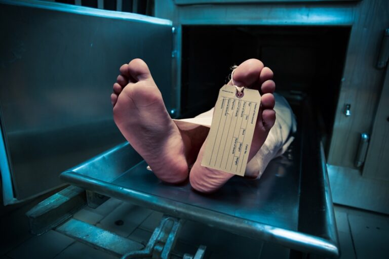 abandono-e-horror:-o-que-se-sabe-sobre-corpos-mumificados-em-hospital