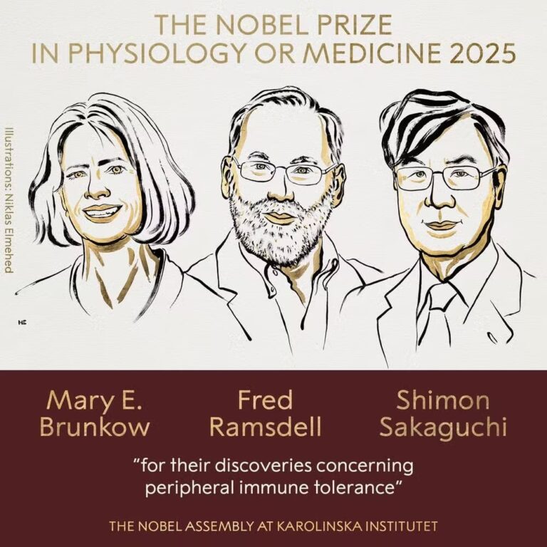 pesquisa-que-explica-como-o-corpo-evita-se-autodestruir-ganha-nobel-de-medicina.-entenda!