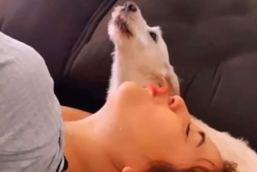 video:-dani-russo-emociona-ao-mostrar-velorio-e-enterro-de-cachorrinha