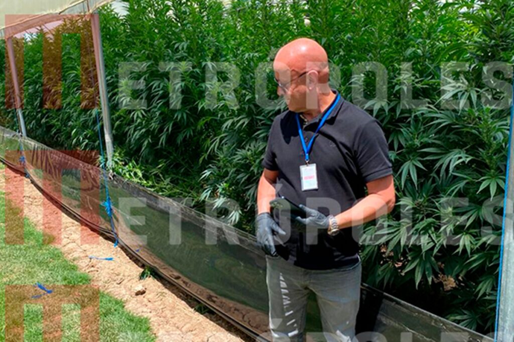 as-movimentacoes-atipicas-de-empresa-de-cannabis-do-careca-do-inss