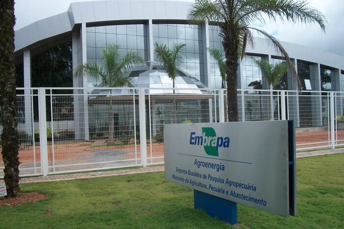Ex-estagiário invade laboratório da Embrapa e esfaqueia funcionário no DF