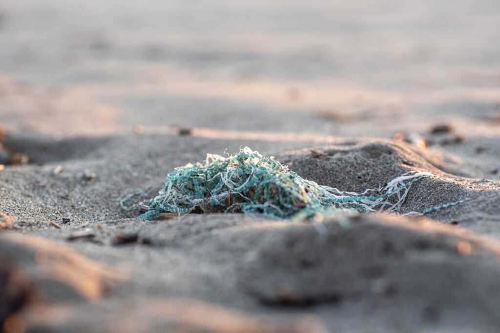 microplasticos-ja-contaminam-toda-a-cadeia-alimentar-do-planeta