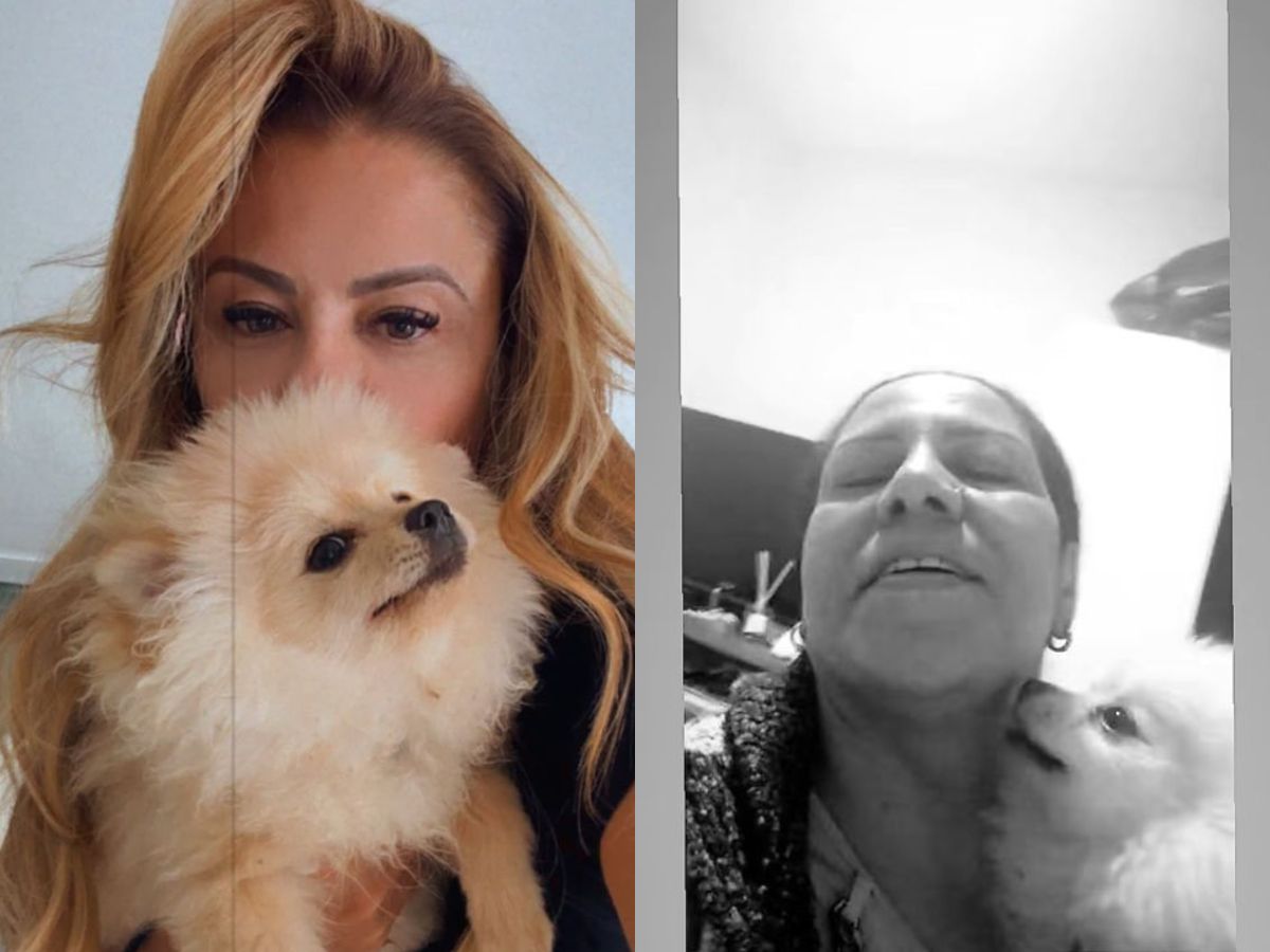 Mistério resolvido: cachorro de Poliana Rocha é achado preso em casa