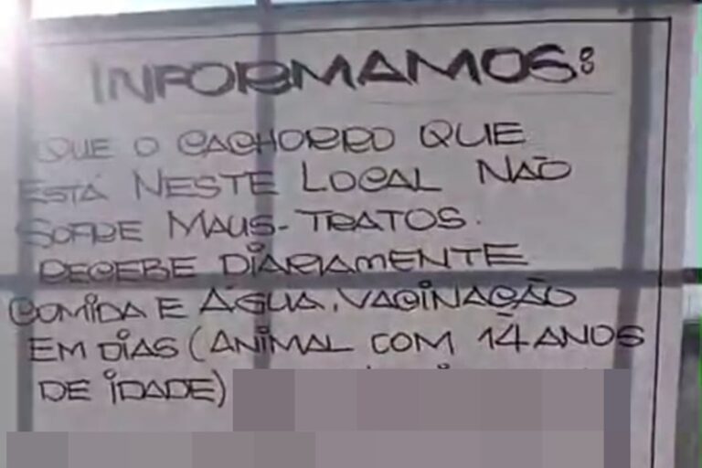 dupla-e-presa-apos-deixar-cachorro-idoso-abandonado-em-lote-no-df