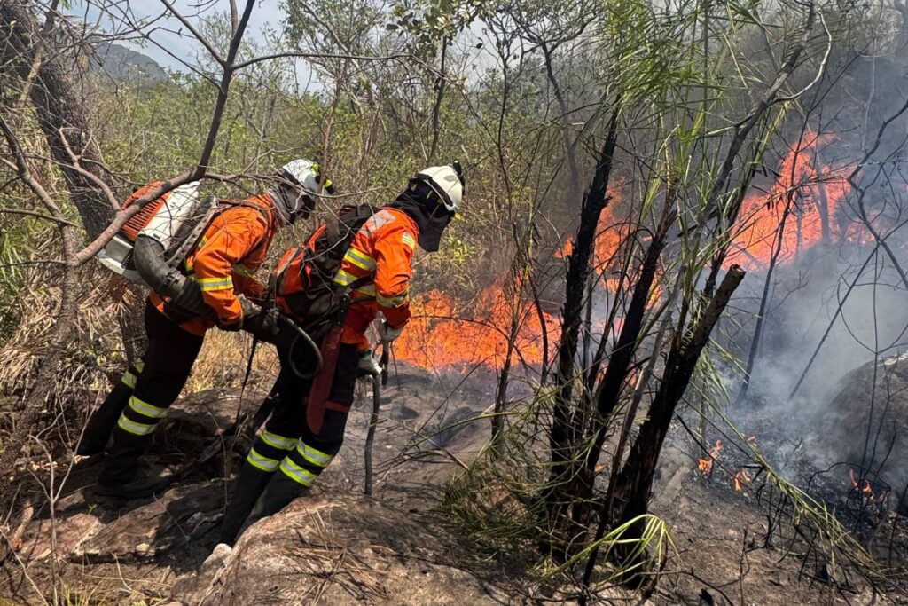 goias-vai-responsabilizar-30-donos-de-imoveis-por-incendios-na-chapada