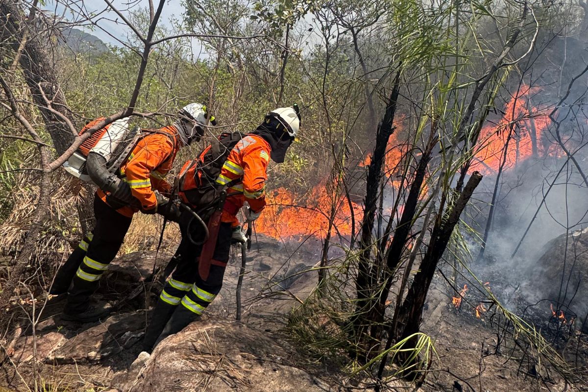 goias-vai-responsabilizar-30-donos-de-imoveis-por-incendios-na-chapada