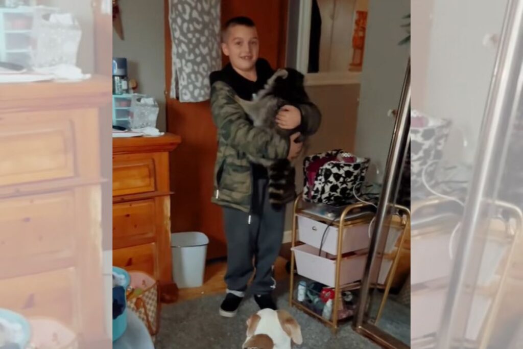 mae-entra-em-panico-ao-ver-filho-com-animal-selvagem-em-casa.-entenda