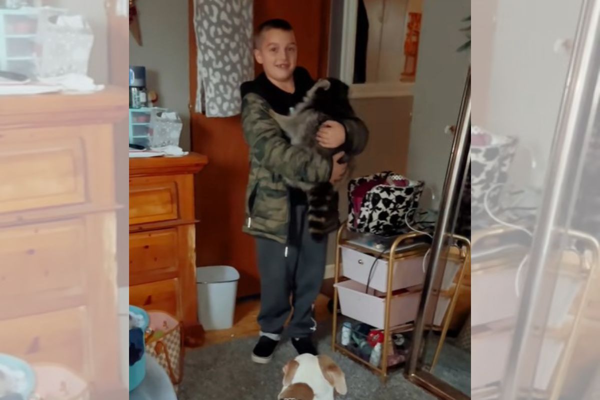 Mãe entra em pânico ao ver filho com animal selvagem em casa. Entenda
