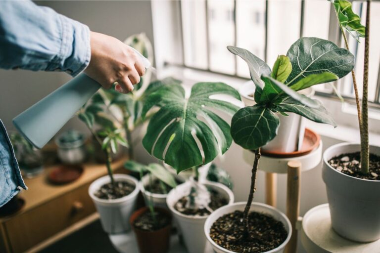 plantas-sentem-dor?-entenda-o-que-a-ciencia-ja-descobriu