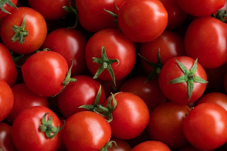 erro-comum-ao-armazenar-o-tomate-pode-alterar-sabor-e-textura-da-fruta