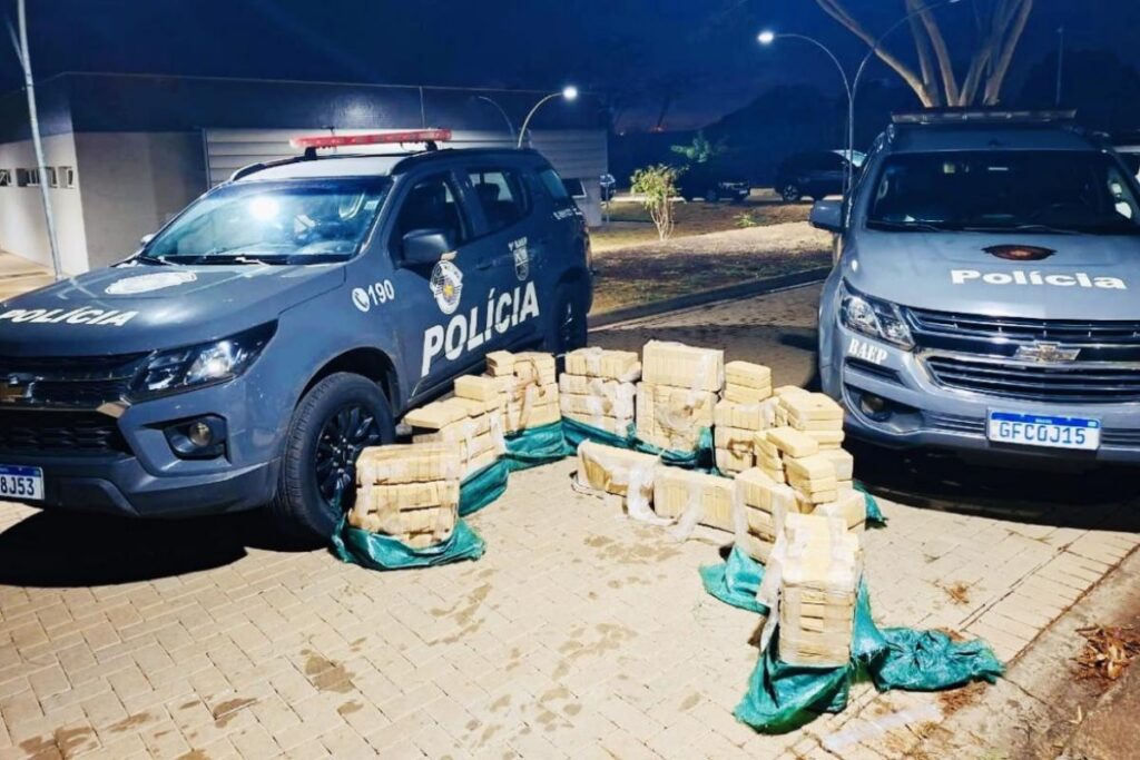 meia-tonelada-de-crack-e-apreendida-em-carga-de-gelo-e-peixe-em-sp