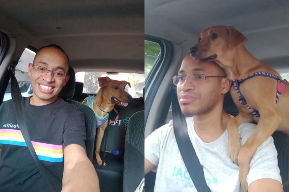 “Taxista de pets” volta a trabalhar após acidente; relembre a história